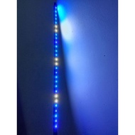 Lampu LED Aquarium Biru Putih Biru Lampu Soliter Lampu Hias Lampu Aquarium  Cupang