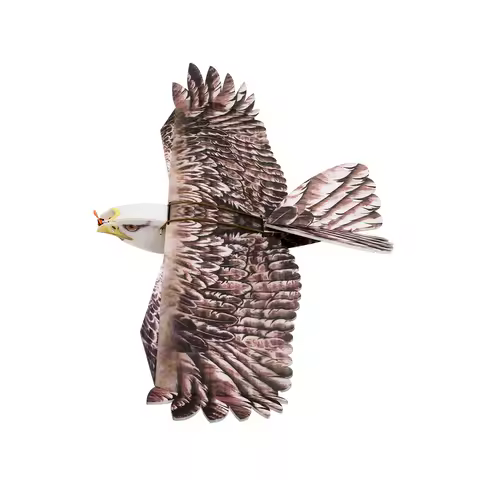 DW Hobby Eagle II EPP Airplane RC Plane Kit Foam with MM2216 920KV Motor Eagle Model Plane Remote Co