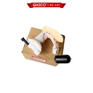 HONDA 16700KZRC02_HONDA Sh Mode 125 P1 c fuel pump assembly) QASCO Motorcycle Parts_6F 2D