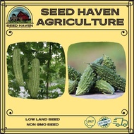 Bitter gourd / Frog Spine Bitter Gourd seed (4 seeds)