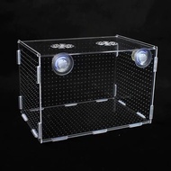 Aquarium Fish Tank Isolation Box Acrylic Isolation Box Plate Fish Incubation Aquarium Small Fry Incu