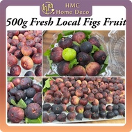 Fresh Local Figs Fruit Buah Tin Segar 500g+-/pack 新鲜无花果