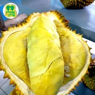 SilahkanOrder- Durian Montong Utuh Bulatan Fresh Premium