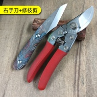 Sharp G10 Handle Fruit Tree Grafting Knife