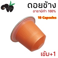 กาแฟเเคปซูล ดอยช้าง คั่ว 10 ระดับ ใช้กับเครื่องชงระบบ Nespresso แพ็ค 10 แคปซูล