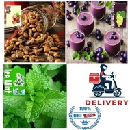 100%ORIGINAL HCIGAR TEA BAG Mango smoothie|Grape Smoothie| Ice Mint |NUTTY | Ice Lychee
