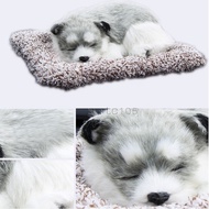 tc105-Dog Sleeping Doll