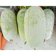 ready fresh buah kundur 500gram/1kg