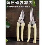 Pruning Shears Branch Shears Gardening Shears Pruning Shears Flower Shears Garden Shears Flower Shea