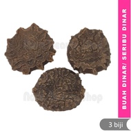 🌿 Buah Dinar Asli / Buah Seribu Dinar (1 biji / 3 biji / 10 biji) | Herba Ajaib Dari Mekah, Penawar 
