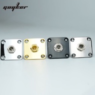 GUYKER 1PCS Output Jack Combination, Nickel or Gold