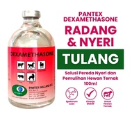 Dexa 100 ml - Anti Inflamasi - Pantex Holland - Dexametason 100 ml Pantex Holland Dexametason 100 ml