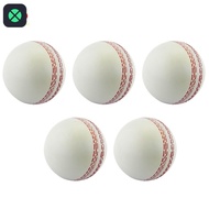1F Sports Cricket, Training Cricket, Sports Wind Swing Rebound  Cricket, Elastic Decompression Ball