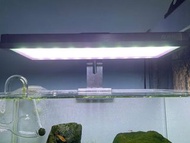 魚缸燈 85W 尼特利 水草燈 現貨
