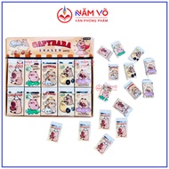 [E6139] COMBO of 5 Pencil Erasers / Pencil Eraser Cute CAPYBARA Shape WHITE E 6139 Cleans, Few Crumb