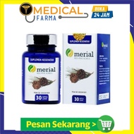 MERIAL RED PINE KOREA Original Obat Kesetahan