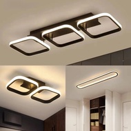 Modern LED Ceiling Light  Corridor Light, Living Room Ceiling Light, Bedroom Ceiling Light, Dining R