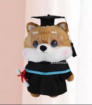 🎓柴犬畢業公仔 狗狗畢業公仔 戴眼鏡狗狗 畢業禮物  幼稚園畢業 大學畢業 capybara 卡皮巴拉 Graduation plush 🧸 現貨 可加蝴蝶結 加購小花束 graduation dol