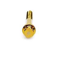 HEXAGON HEAD ENGINE SCREW M6 40MM GOLD PER PCS NEW DESGIN ENGINE SCREW KINGDRAG