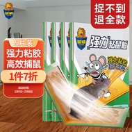 超威粘鼠板老鼠贴捕鼠器灭鼠器超强力粘板5片装