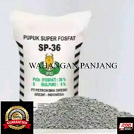 100 gr Pupuk TSP 36 kemasan ecer.