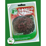 Ramgo Lettuce Lollo Rossa Seeds