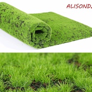 ALISONDZ Fake Moss Grass Turf, DIY Eternal Life Artificial Moss Carpet, Outdoor Grass Mat Lifelike N