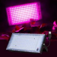 ไฟปลูกต้นไม้ LED แบบเต็มสเปกตรัมในร่ม USB 5V แดง น้ำเงิน เรือนกระจก เต็นท์ ระบบไฮโดรโปนิกส์ กล่องเพา