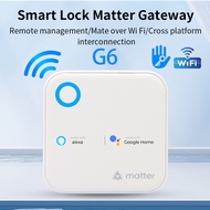 G6 TTlock Matter gateway can connect 5G WiFi TTLock/TTHotel APP 2.4G&5G WiFi For Remote Control Smar