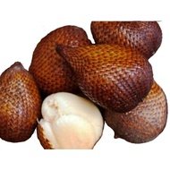 Buah Salak Madu/Buah salak