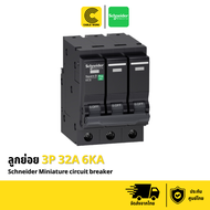 Schneider ลูกย่อยเซอร์กิตเบรกเกอร์สแควร์ดี 3โพล 3เฟส 10 - 100 แอมป์ 6เคเอ รุ่น (3P 10A 6KA - 3P 100A