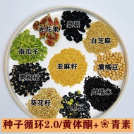 [Seed Circulation Version 2.0] Anthocyanin Flavonoids Powder Tonic Female Freshly Ground Mulberry Fl