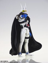 大通模型 幪面超人 W eternal  (非 Shf 真骨雕)