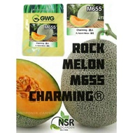 ROCK MELON M655 Charming F1 | 1Biji | GwG F1 Hybrid Melon