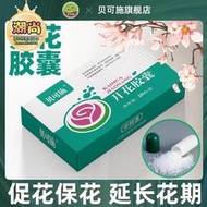 【樂樂屋】開花膠囊磷酸二氫鉀肥料花卉專用家用盆栽綠葉開花肥批發代發