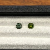 【裸石】碧璽 Tourmaline LT70/LT177