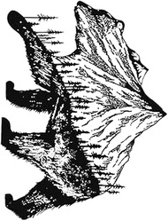 Semi-Permanent Tattoo,Bear Mountain HC-KT-32,Mountain Tattoos,Real Tattoo Look,Lasts 1-2 Weeks,Resil