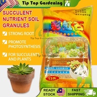 13L (8 KG) RAINBOW STONE 彩虹石 SUCCULENT NUTRIENT SOIL GRANULES PUT ON TOP/MIXED WITH SOIL