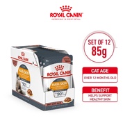 Royal Canin Hair & Skin Gravy (85g x 12) Adult Wet Makanan Kucing  - Feline Care Nutrition