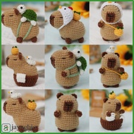 JAYNEBIO Beginner Crochet Stuffed Animal Kit with Crochet Hooks Handmade Yarn Set Kit DIY Set Capyba