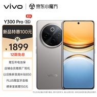 vivo Y300 Pro 8GB+256GB 钛色 6500mAh超薄蓝海电池 全等深微四曲屏 SGS五星抗摔认证 AI 拍照 手机