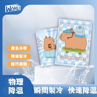 Ice Pack Style Random Shipping