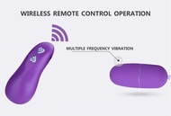 Egg Vibrator Tickler Mini vibrator remot kontrol wanita sexy toys