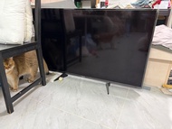 Panasonic 電視機 TH49EX600 H