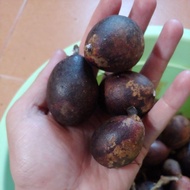 BUAH KRISTAL SARAWAK