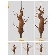 Apricot root, bonsai, glitter root, peach root, bonsai tree stem to make flowers CNY