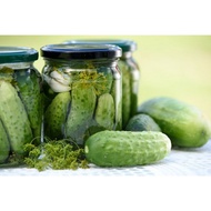 seeds bebenih TIMUN  BELANDA CUCUMBER/biji  benih timun jeruk pokok memanjat perlukan para