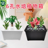 New Soilless Cultivation Family Indoor Balcony Vegetable Plants Hydroponic Planting Box Hydroponic