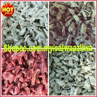 JERUK ASAM PLUM HITAM PLUM MERAH PLUM PUTIH