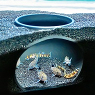 Buried Cave Breeding Nest for Bottom Dwelling Fish Shrimp